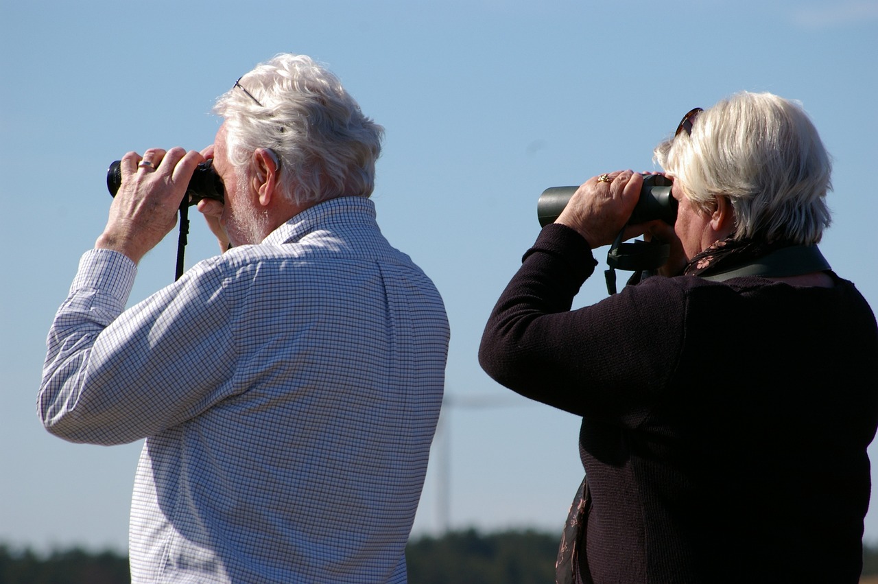 Birdwatching for Seniors: A Calm, Enjoyable Outdoor Hobby
