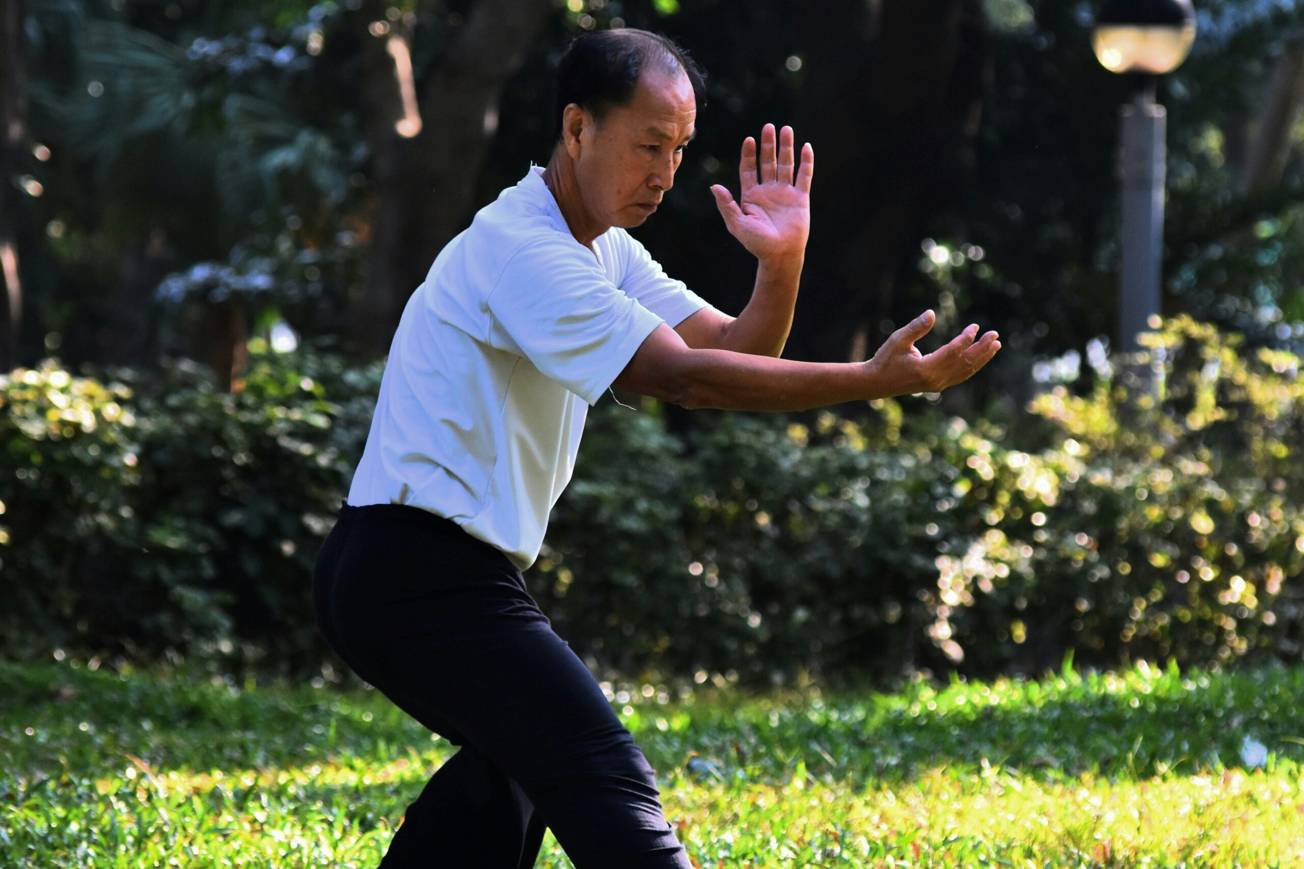 senior doing tai chi