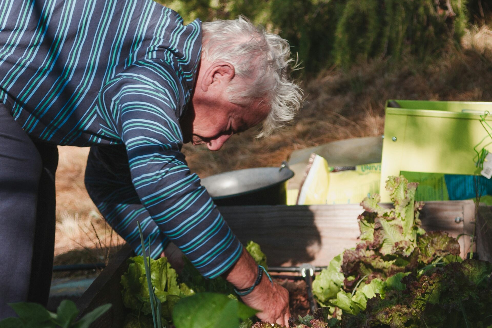 Gardening After 60 — A Gentle and Rewarding Way to Spend Your Time